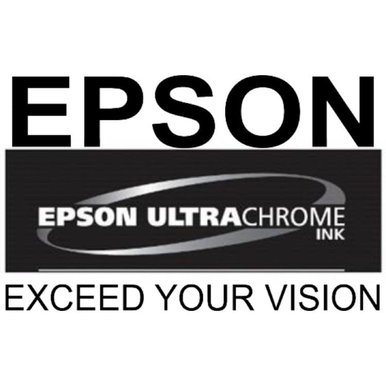 EPSON AMERICA, . T53KFLU (T53K) UltraChrome DS Ink, Fluorescent Pink/Fluorescent Yellow (EPST53KFLU) thumbnail 4