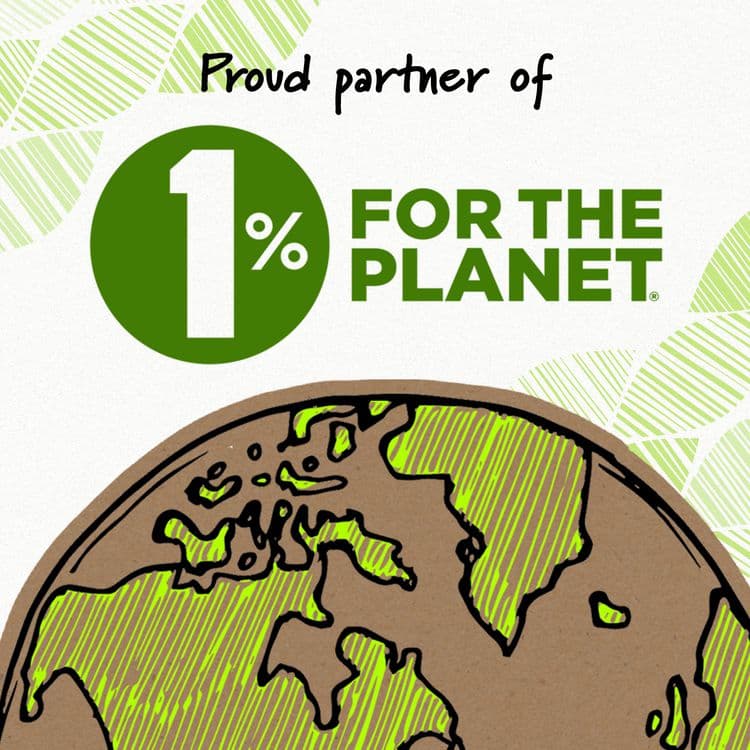 BIC CORP. Ecolutions Gel Pen, Retractable, Medium 1 mm, Black Ink, Blue Barrel, 4/Pack (BICRGLE4BK) thumbnail 3